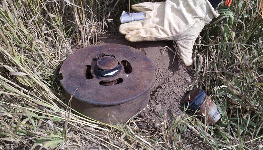 115,000 hectares of land cleared of mines in Azerbaijan's liberated territories so far