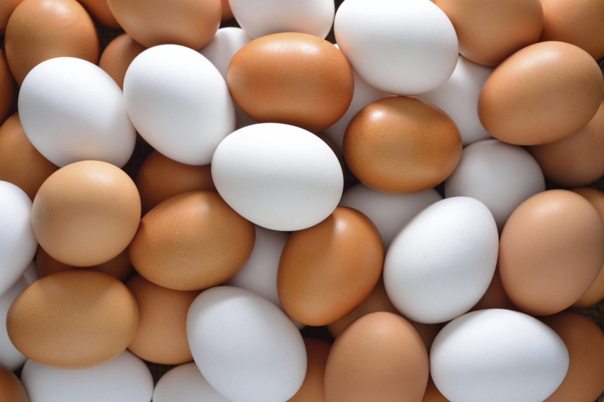 Azerbaijan sends second batch of chicken eggs to Russia