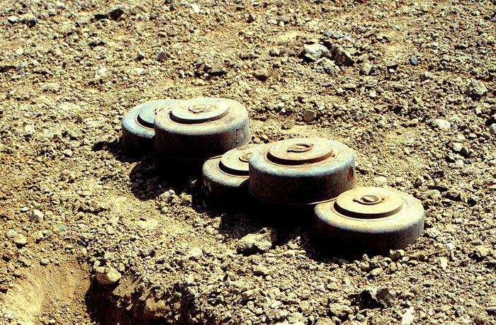 Azerbaijan's ANAMA found 8529 landmines, 23049 UXOs in liberated territories this year