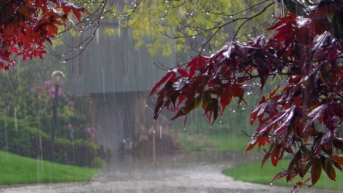 Ölkədə temperatur aşağı düşüb, bölgələrdə yağış yağır - FAKTİKİ HAVA