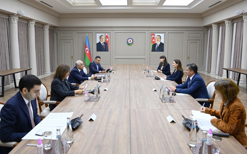 Azerbaijani PM meets with UNICEF Regional Director for Europe and Central Asia
