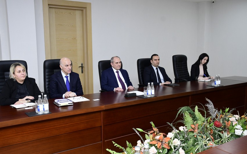 NAP holds meeting with head of OSCE/ODIHR Election Observation Mission