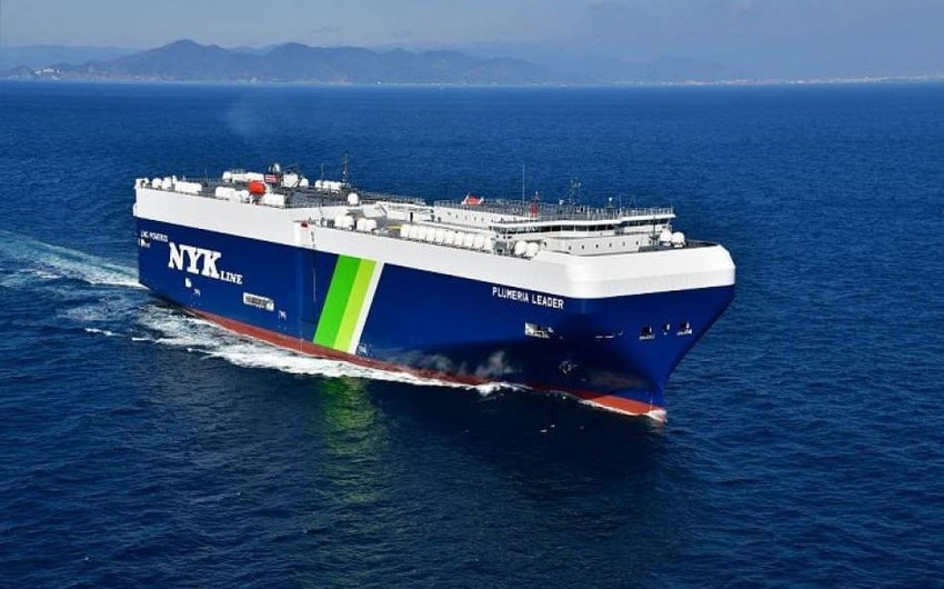 Japan's NYK halts vessel transits in Red Sea