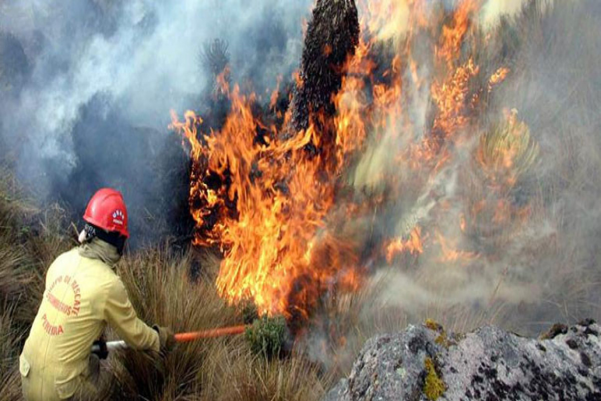 Colombia to declare a natural disaster over wildfires