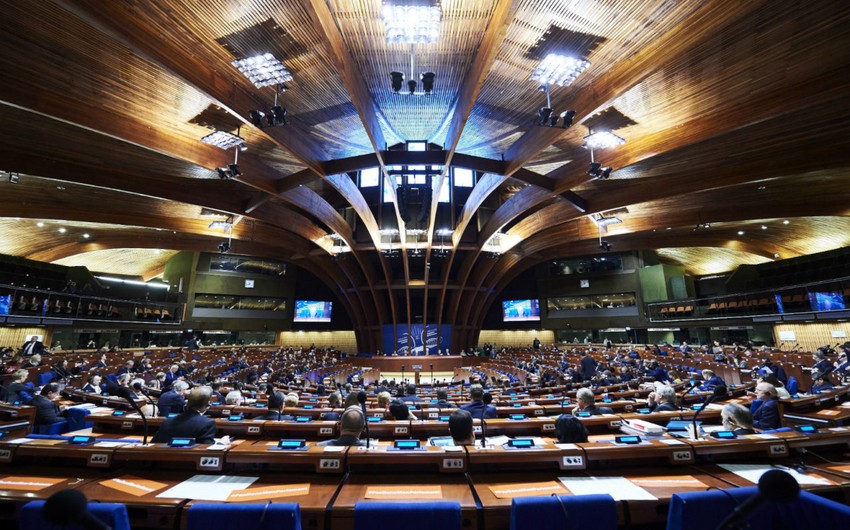 PACE deputy cannot take decisions instead of Assembly or OSCE/ODIHR