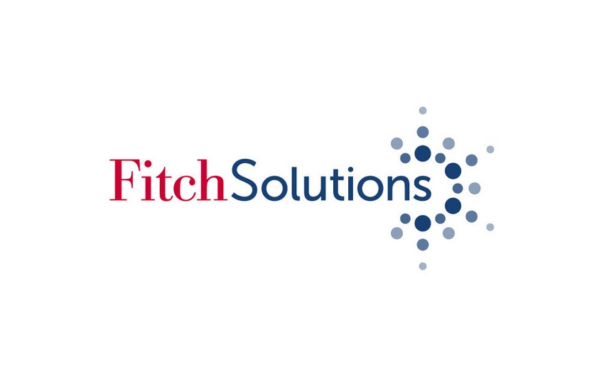"Fitch" 2024-cü ilin iyuluna qədər Bakı ilə İrəvan arasında sülh sazişinin imzalanacağını proqnozlaşdırır