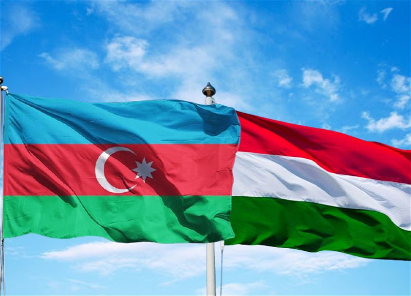 Hungary extradites internationally wanted person to Azerbaijan