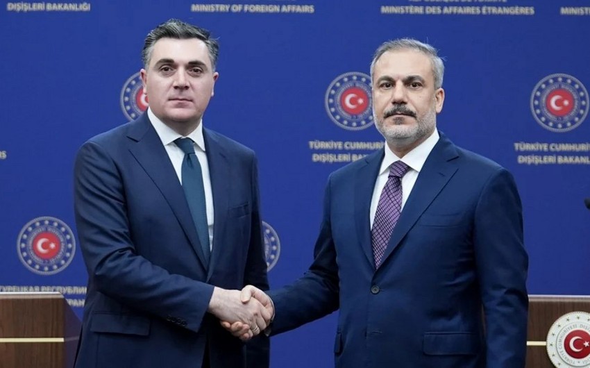 Türkiye and Georgia's Foreign Minister mull over situation in the South Caucasus