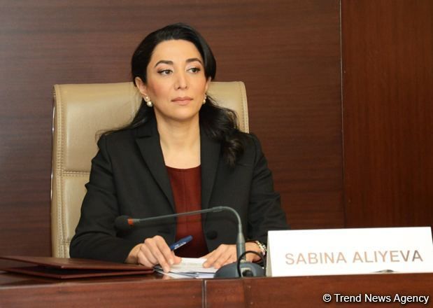 Azerbaijan pays special attention to development of rights and freedom of Armenian origin people in Garabagh - Ombudsman