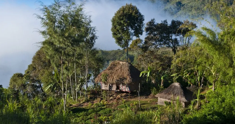 Papua New Guinea ambush: Dozens shot dead in Highlands region
