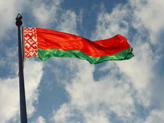Наблюдатели от СНГ оценили выборы депутатов в Беларуси на «отлично»