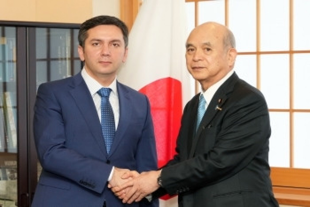 Japan welcomes Azerbaijan's hosting of COP29