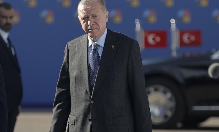 Erdogan: Türkiye fundamentally supports peace plan proposed by Zelenskyy