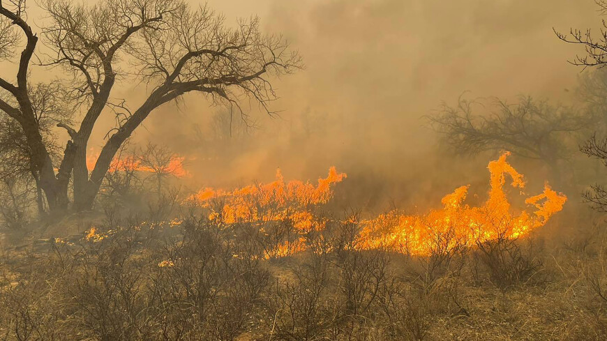 Пожар в Техасе признали вторым по величине за всю историю