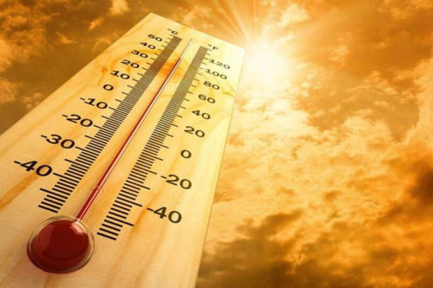 Предсказана рекордная жара в 2024 году