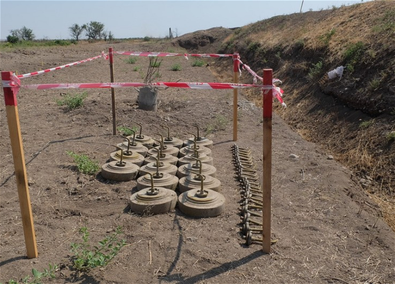 Ötən il işğaldan azad edilmiş rayonlarda aşkarlanan minaların sayı açıqlandı - SİYAHI
