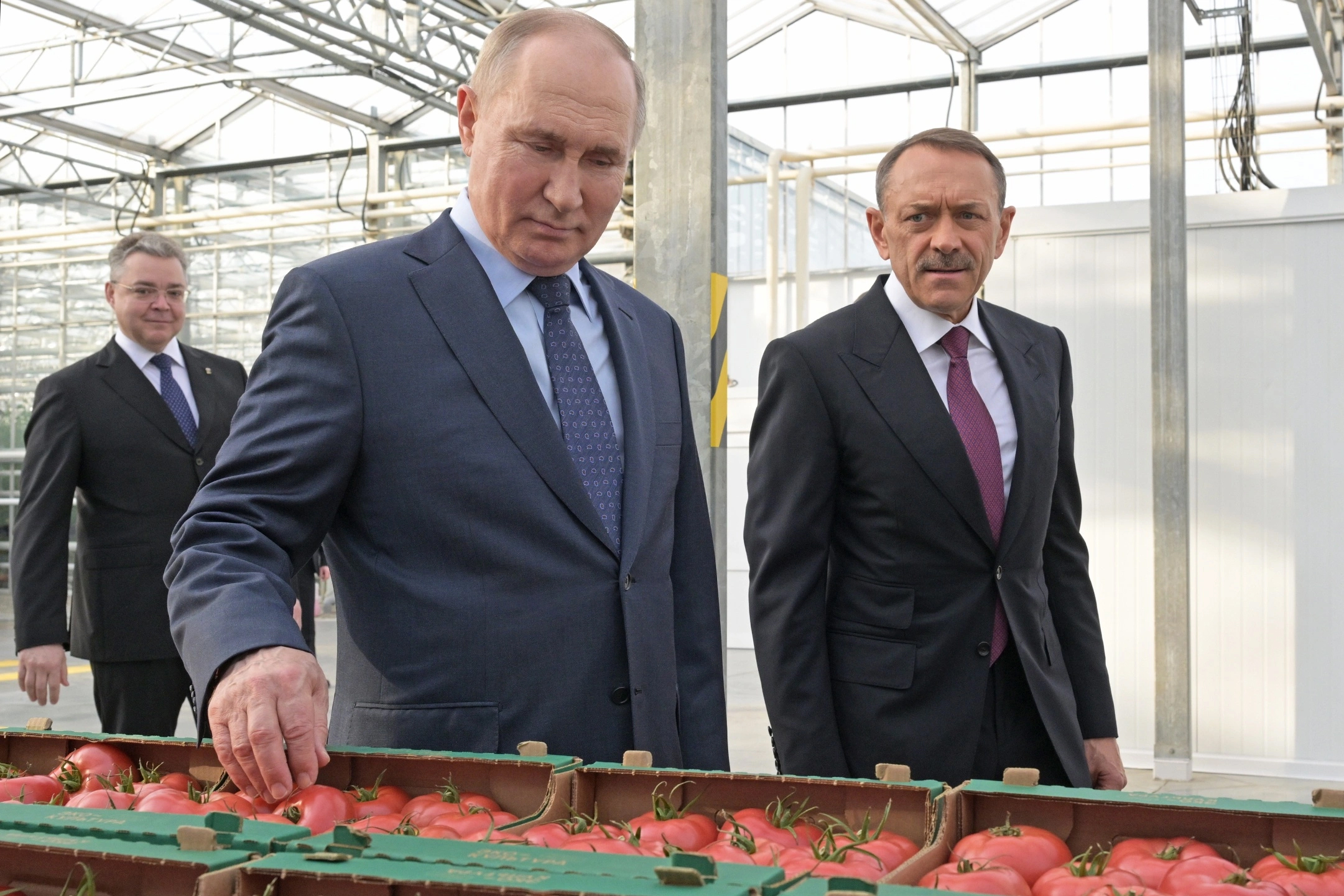 Путин по видеосвязи открыл три новых предприятия АПК в разных регионах