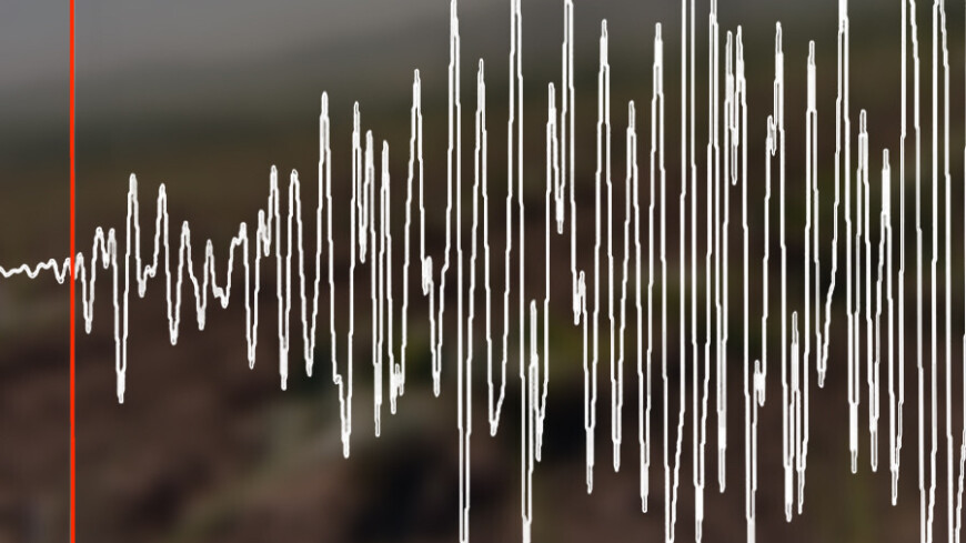 Землетрясение магнитудой 5,0 произошло у побережья Курил