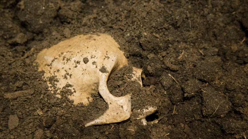 Крупнейшее захоронение жертв эпидемии чумы обнаружили археологии в Германии