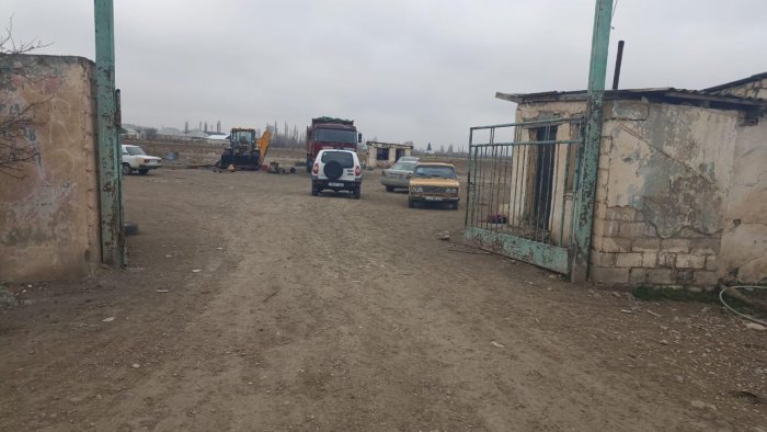 Goranboyda DƏHŞƏT – Sifarişlə ferma yandırdılar, 230 baş heyvan tələf oldu...