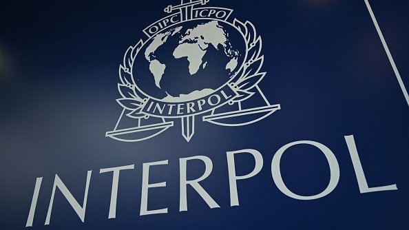 Интерпол готов оказать поддержку РФ в расследовании теракта в "Крокус сити холле"