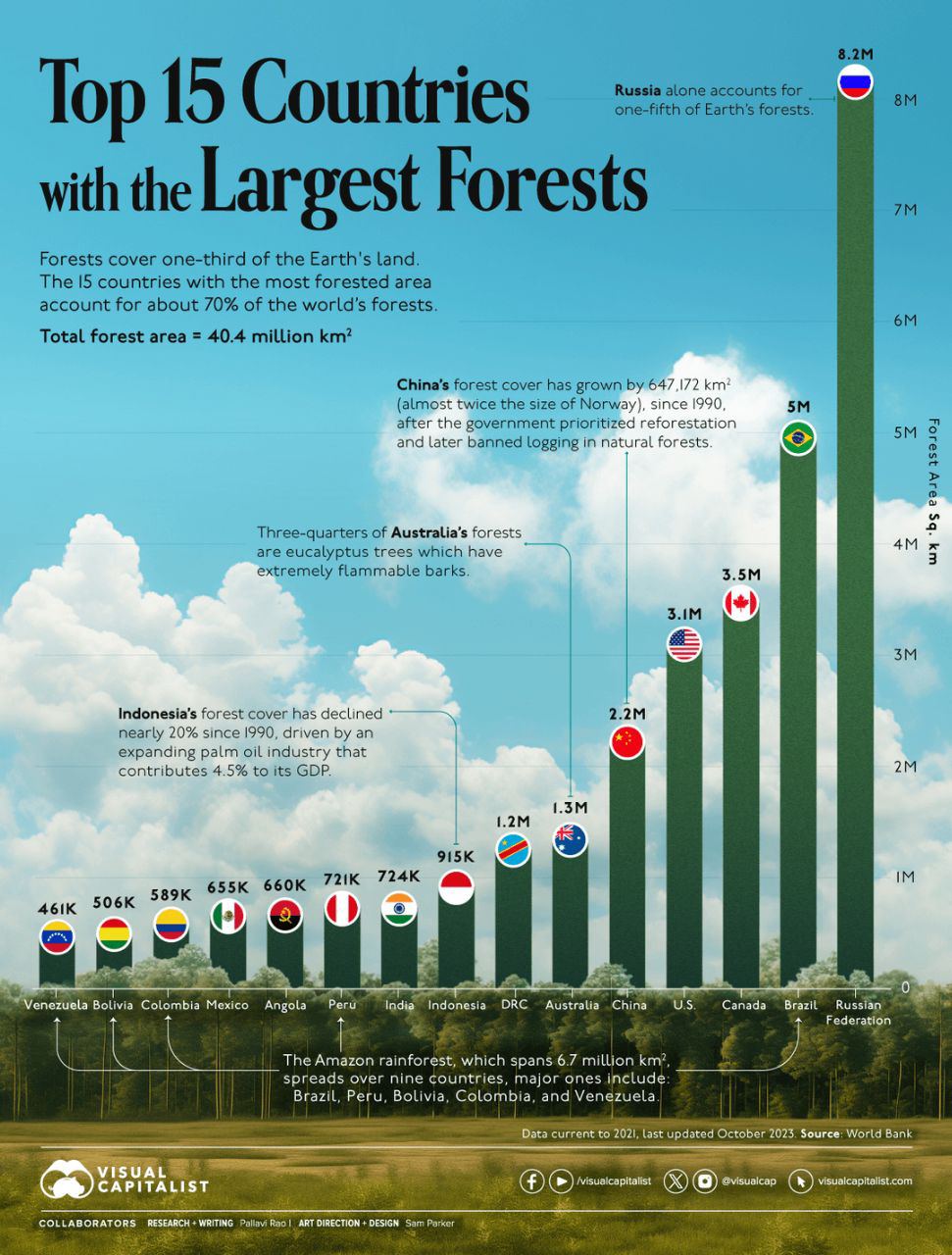 15 стран с самыми большими лесными участками