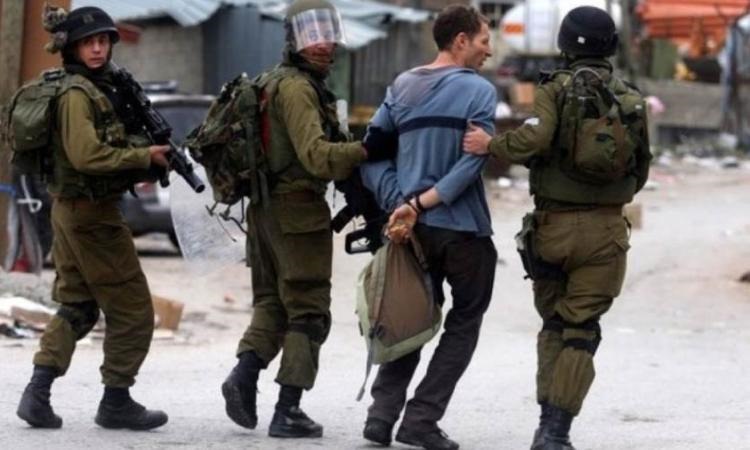 القوات الإسرائيلية تعتقل 40 فلسطينيا من الضفة الغربية