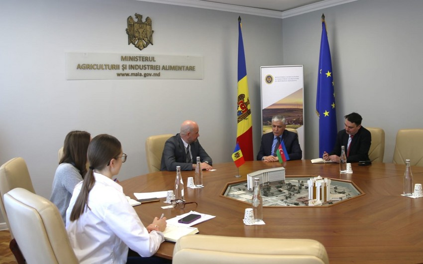 Expansion of Azerbaijan-Moldova cooperation discussed in Chisinau