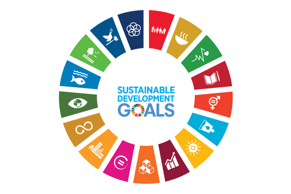 A Race Against Time: Can SDGs Goals Transform Our World by 2030? - ANALYSIS