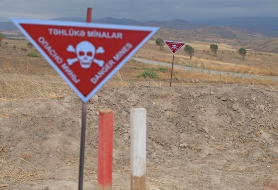 The biggest obstacle in highlighting the problem of mines... - Foreign politicians on Ednews