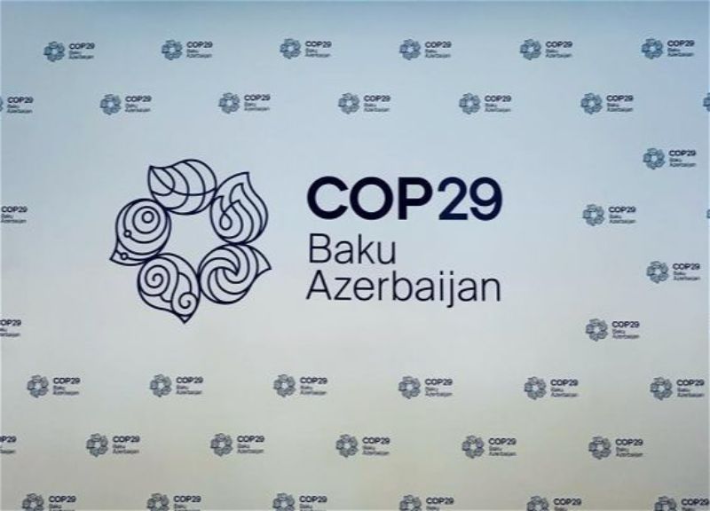 Official website of COP29 launched