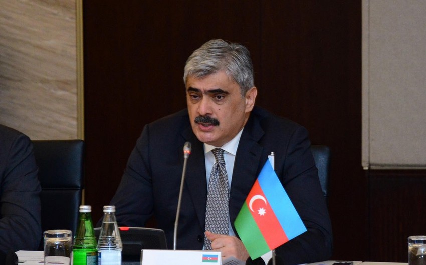 Minister: COP29 highlights Azerbaijan's commitment to mobilize climate action