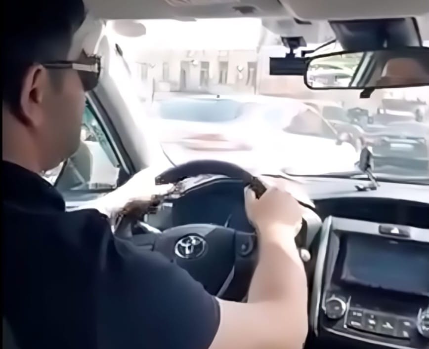 Müştərisinə mahnı oxuyan taksi sürücüsü: “Arzum, Qarabağ universitetində...” - VİDEO