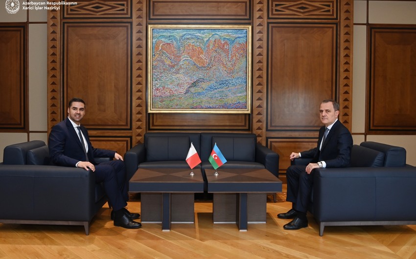 Tête-à-tête meeting between Azerbaijani FM and OSCE Chairman-in-Office kicks off