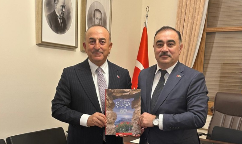 Azerbaijani ambassador meets with Mevlut Cavusoglu