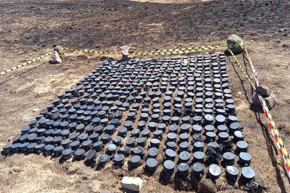 37,583 hectares in Azerbaijan's liberated territories have been cleared of mines and unexploded ordnance - VIDEO