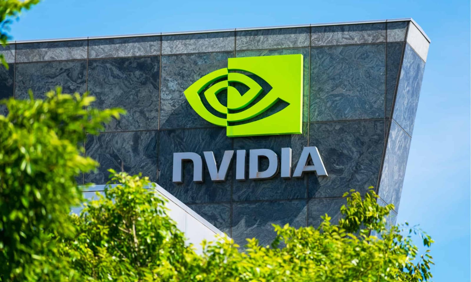 Investor Optimism Surges as Markets Await Nvidia's Balance Sheet