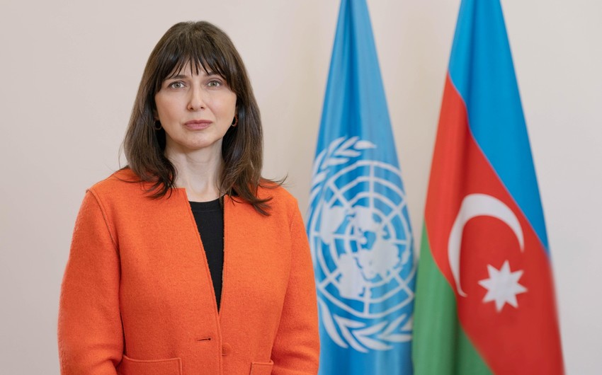 Vladanka Andreeva notes existing opportunity to expand support for Azerbaijan's mine action efforts