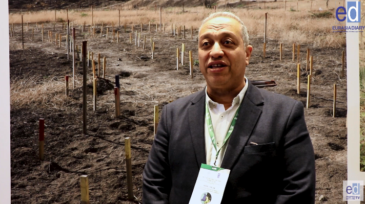 Dr. Nidal Salim Highlights Reconstruction and Environmental Challenges at International Conference in Baku - VIDEO