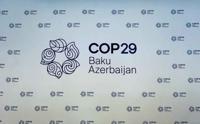 COP29 Könüllülük Proqramına qeydiyyat bu gün başa çatır