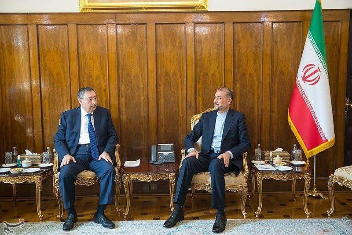 Representative of Azerbaijani President discussed situation in region with Iranian FM