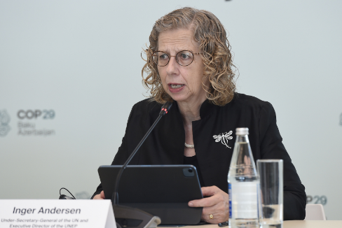 UNEP-in icraçı direktoru: İqlim dəyişikliyi ilə mübarizədə Azərbaycan böyük işlər görür
