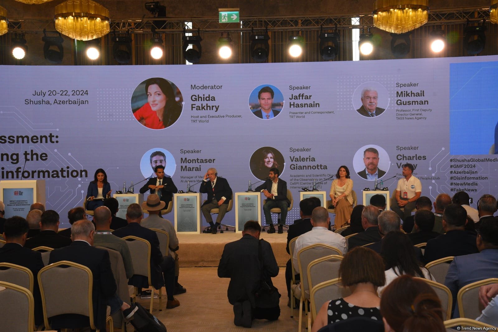 Combating Disinformation: Role of media in shaping Public Opinion - VIDEO