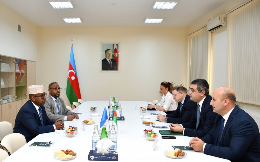 Somali naziri Sumqayıt Kimya Sənaye Parkında olub