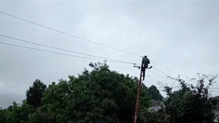 Astarada elektrik dirəyi aşdı, iki inəyi cərəyan vurdu - FOTO