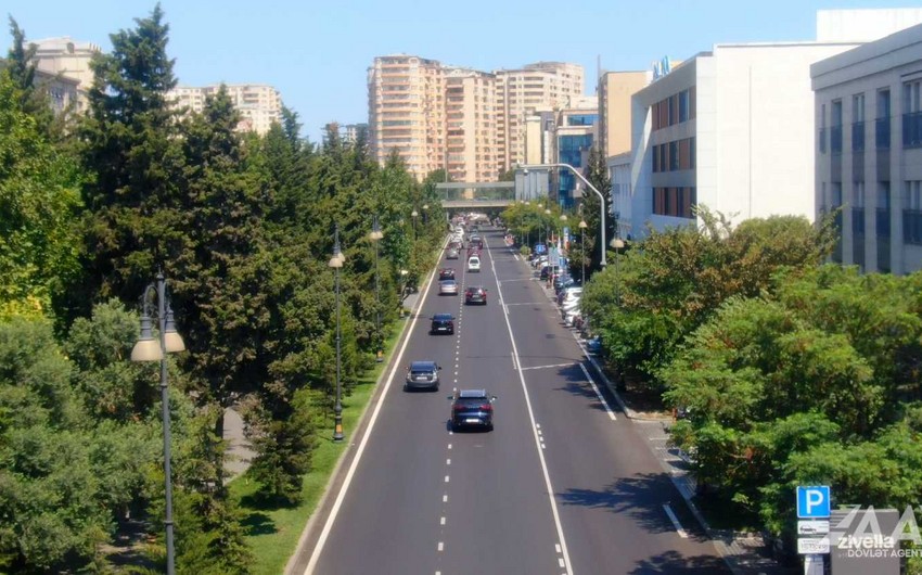 Təsərrüfat Birliyi: Yol hərəkət nişanlarının görünməsinə mane olan ağaclar budanır