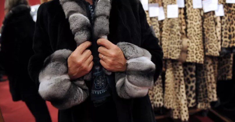 EU fur ban: Is the European fur industry in danger?
