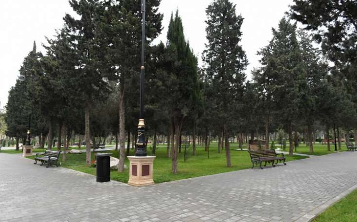 Kişi  həyat yoldaşını parkda qətlə yetirdi
