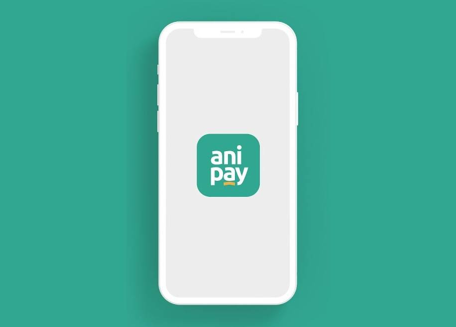 AniPay” tətbiqində nə baş verir?