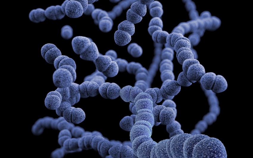 Alimlər salmonellaların antibiotiklərə qarşı müqavimətinin sirrini açdılar